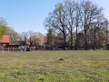 p1000267