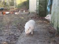 thumb IMG 1765 1024