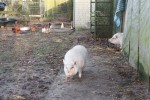 thumb IMG 1765 1024
