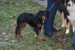 thumb IMG 1771 1024