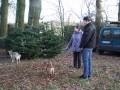 thumb IMG 1798 1024